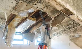 Mold Odor Removal Services in Hanover, PA